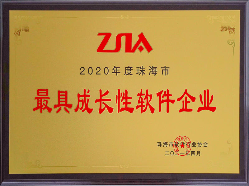 2020年最具成长性软件企业